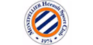logo MHSC Store